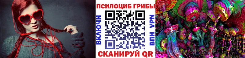 Купить  Менделеевск  Галлюциногенные грибы мицелий 